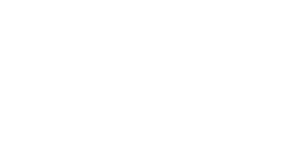 Instituto Dor